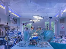 Kraków. Operacja endoskopowego wycięcia tarczycy przy użyciu neuromonitoringu. To drugi taki zabieg na świecie i pierwszy w Polsce