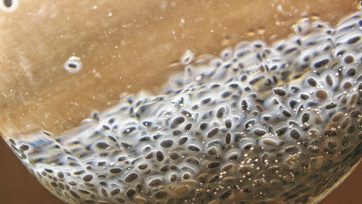 8 zaskakujących produktów, które obniżą poziom cholesterolu