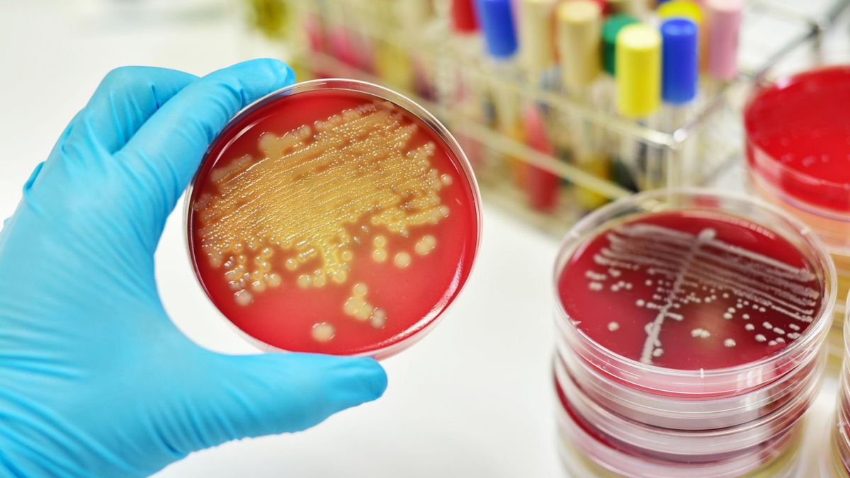 Gronkowiec u niemowląt