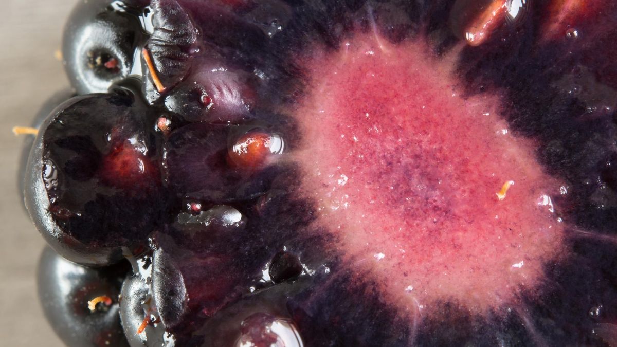 Jedzenie jeżyn niszczy wolne rodniki