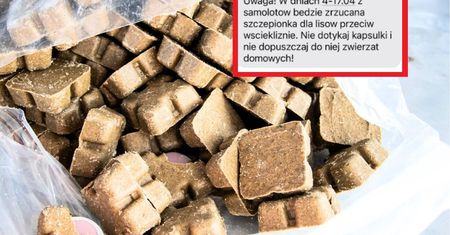 Pilny alert dla mieszkańców. "Nie należy podnosić ani dotykać"