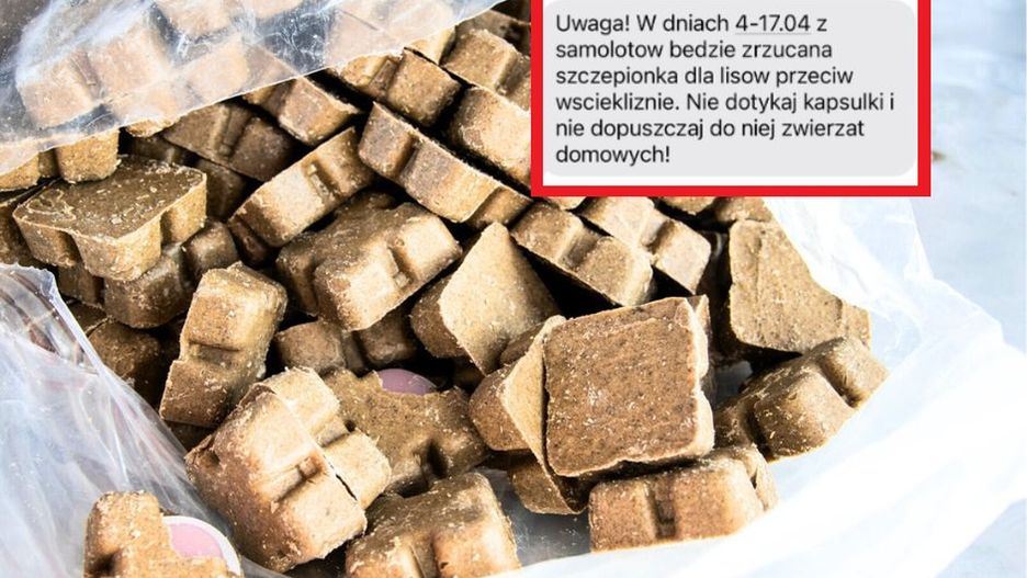 Ważny alert dla mieszkańców. "Nie należy podnosić ani dotykać"