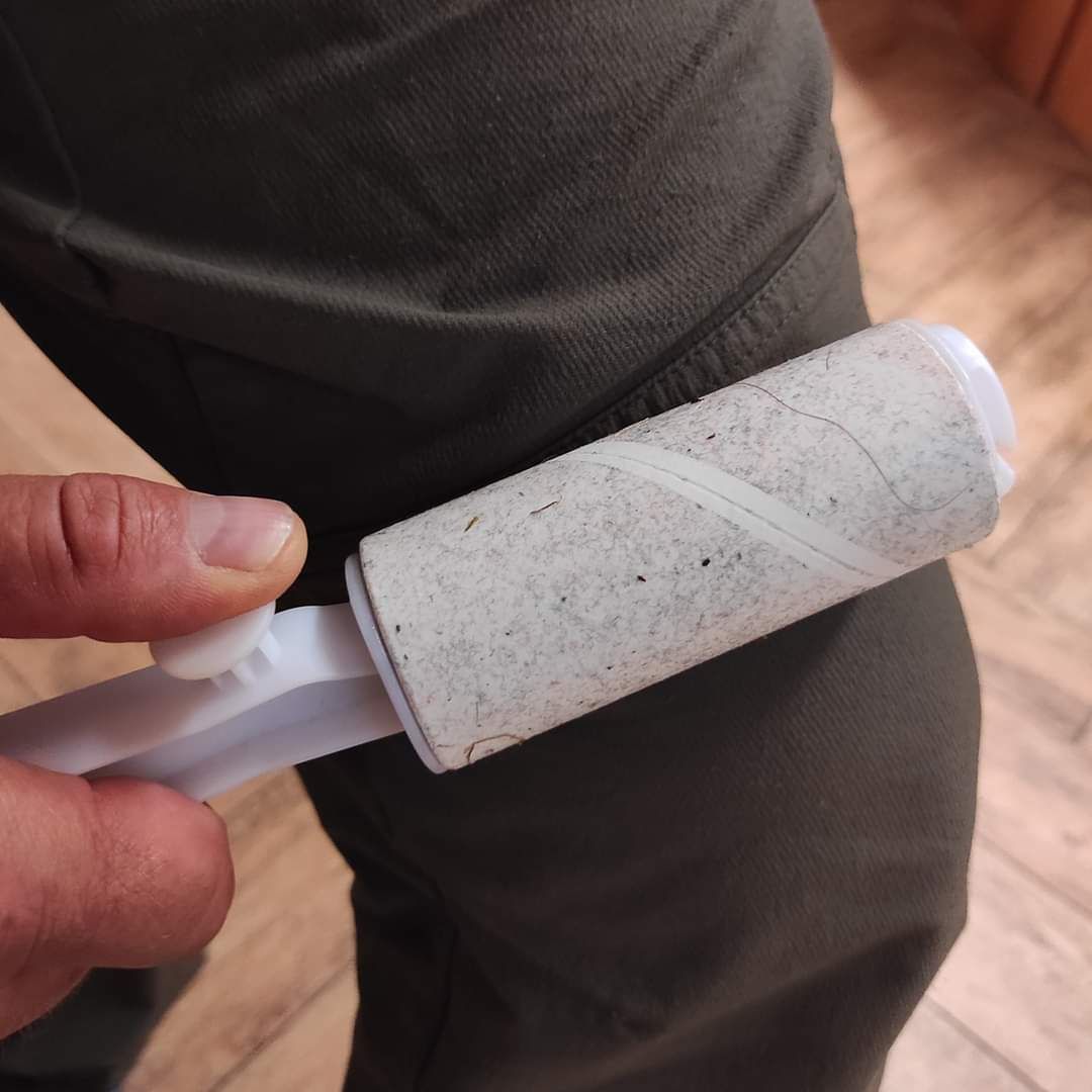 Sposób leśnika na pozbycie się kleszczy