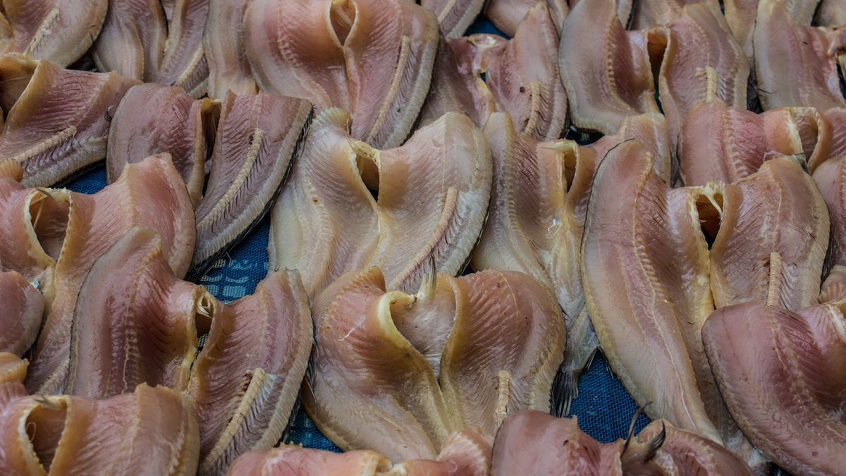 Sum - jakie ma właściwości?