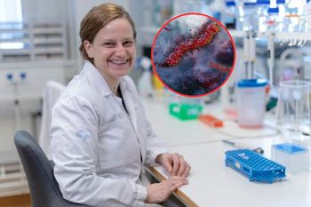 Bakteria może wspierać leczenie raka jelita. Obiecujące wyniki badania