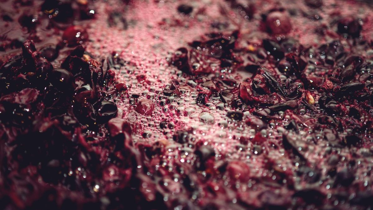 Najlepsze owoce dla serca i zdrowia mózgu. Jedz nawet codziennie