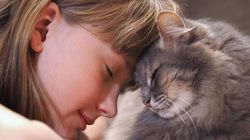 Naukowcy: koty przyczyną zaburzeń psychicznych. Alarmujące wyniki badań