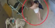 Matka zostawiła dwulatka z niemowlakiem. Nagranie z kamery podbija internet