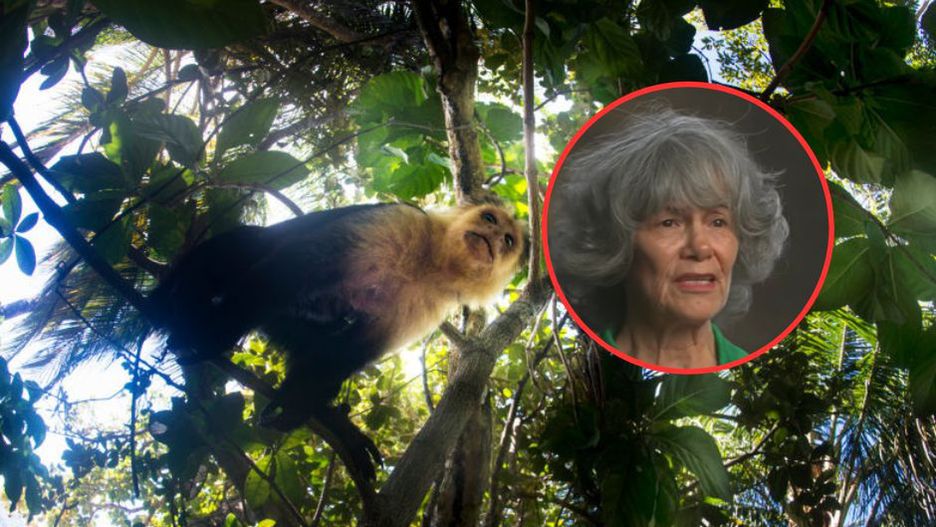 Dziewczynka spędziła sześć lat w dżungli. W tym czasie wychowywały ją małpy