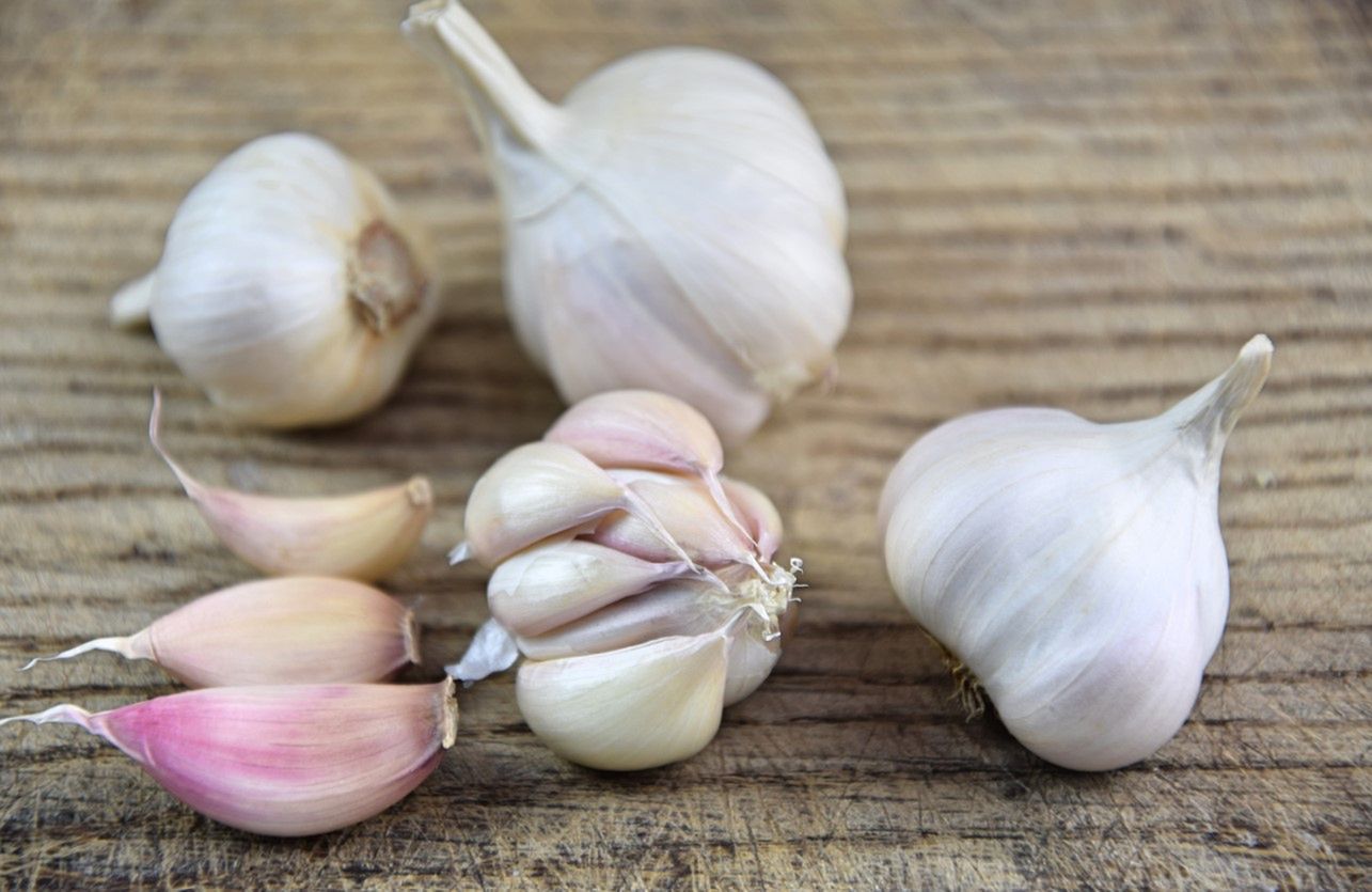 Czosnek zawiera w swoim składzie cenną allicynę.