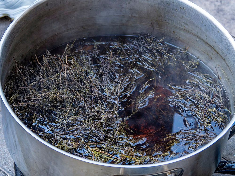 Tymianek jest składnikiem naparów i mieszanek ziołowych