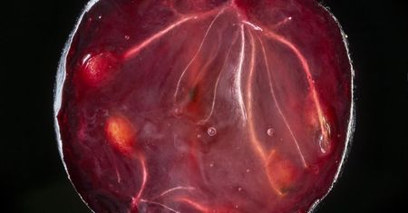 Najzdrowszy olej. W miesiąc wymiata cholesterol z tętnic
