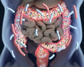 Mikrobiota jelitowa – funkcje, zaburzenia i badanie