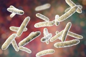 Lactobacillus – gatunki, występowanie i działanie
