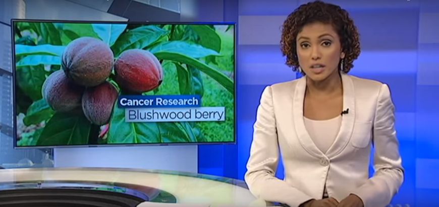 Nowy naturalny lek na raka odkryty w Australii