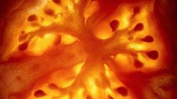 Chroni przed sztywnieniem naczyń i nadciśnieniem. Ważny składnik w diecie