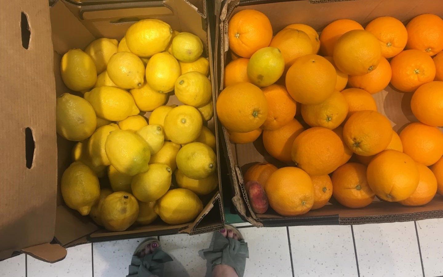 Pomarańcze i cytryny są bogate w antyoksydanty