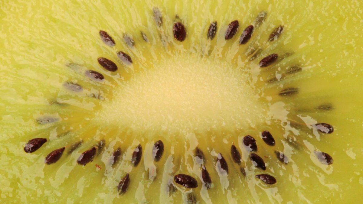 Żółte kiwi to prawdziwa bomba witaminy C