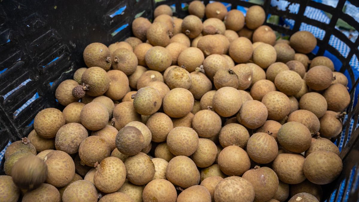 Longan – egzotyczny owoc pełen witamin, który warto spróbować