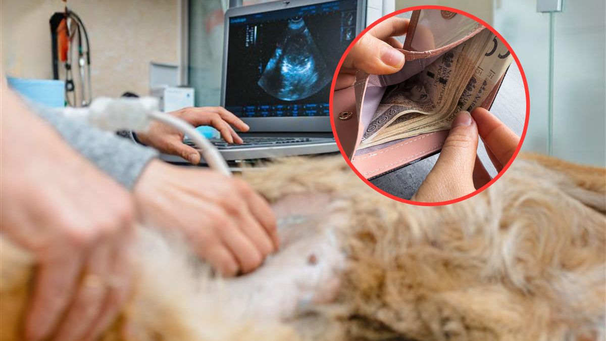 Bezprecedensowy wyrok sądu w Płońsku