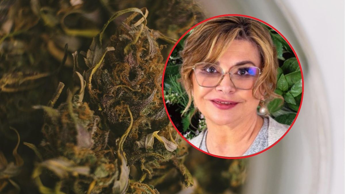 Lekarka ostrzega przez bezrefleksyjnym przyjmowaniem ziół - można je przedawkować