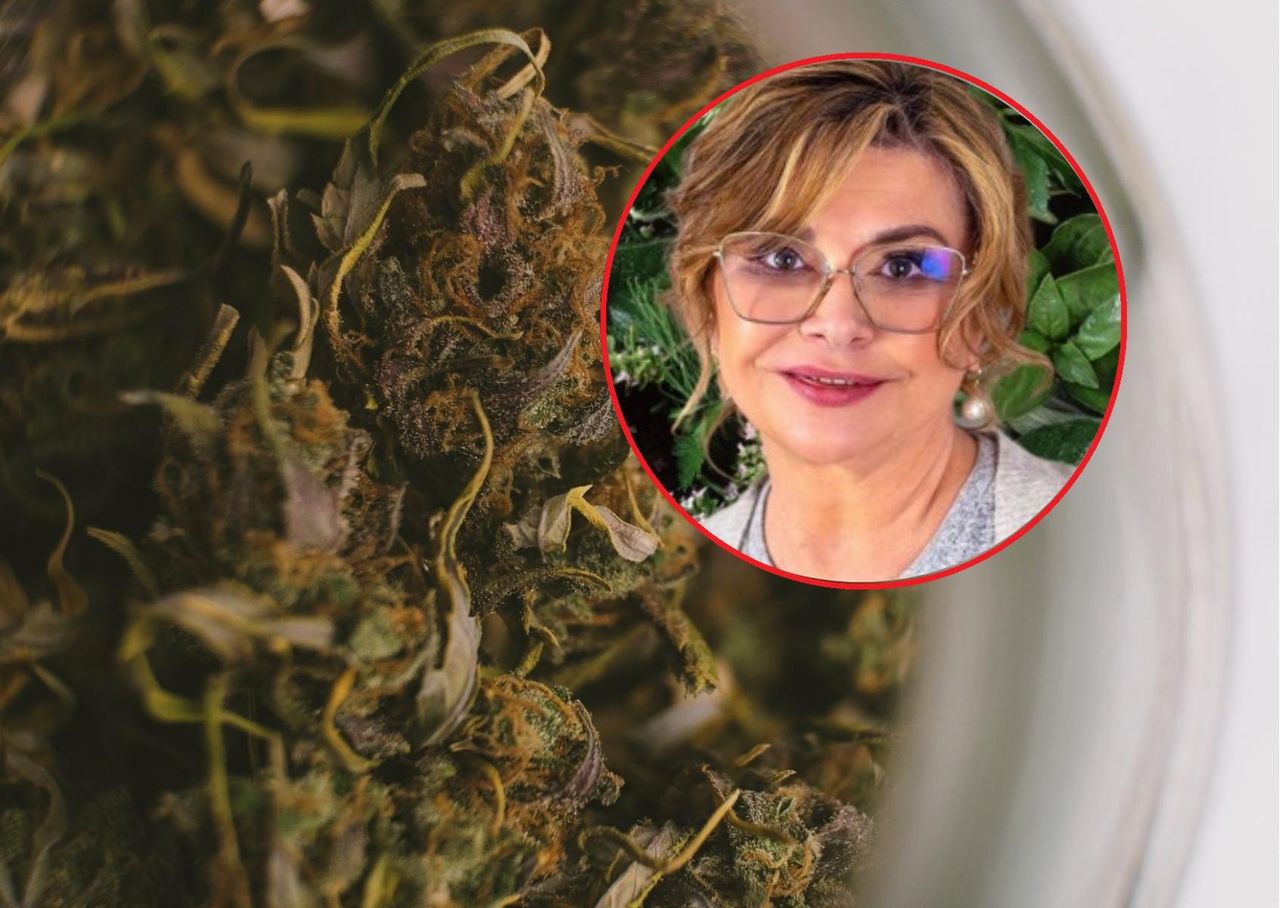 Zabójcze zioła. Lekarka ostrzega przed ryzykiem interakcji z lekami