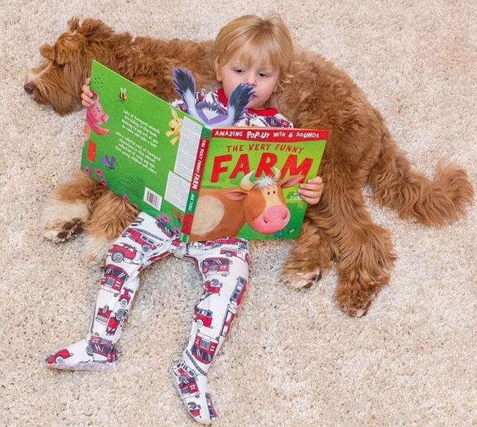 Buddy i jego pies - niezwykła historia przyjaźni