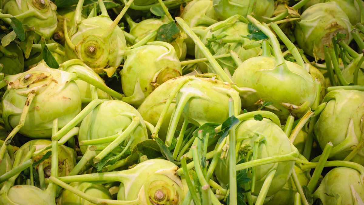 Kalarepa obniża ciśnienie i normalizuje poziom cholesterolu we krwi