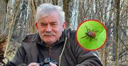 Najsłynniejszy polski leśnik zdradza sposób na ochronę przed kleszczami