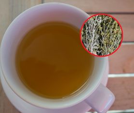 "Górska herbata" bije rekordy popularności. Wspomaga pracę nerek, chroni przed rakiem