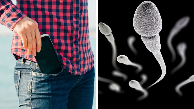 Wiele badań udowodniło, że promieniowanie elektromagnetyczne negatywnie wpływa na jakość męskiego nasienia