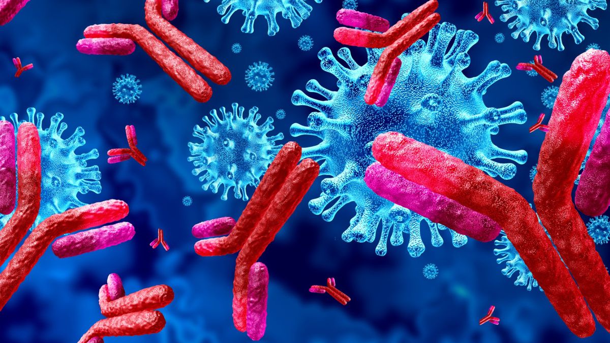 Immunoglobuliny igG – charakterystyka, badanie, interpretacja wyników