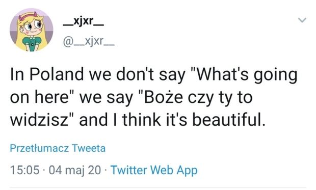 Polacy nie gęsi i swój język mają (Twitter)