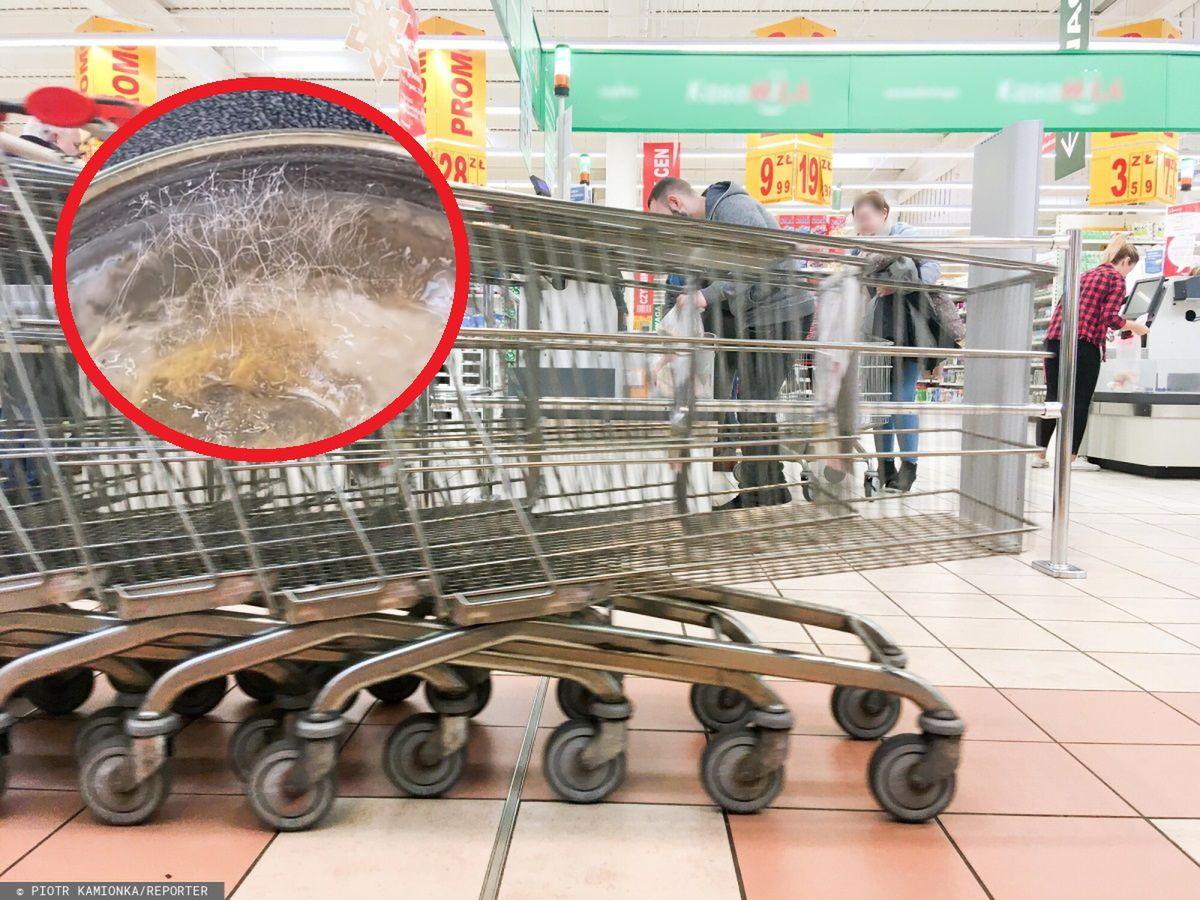 Brudniejsze niż miejskie toalety. "Nie przynosicie tylko zakupów, ale też grzybki"