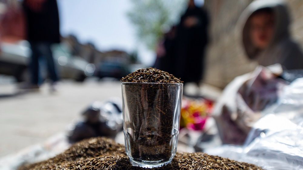 Dlaczego warto jeść kminek?