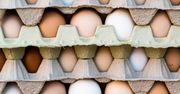 Kupiłeś takie jajka? GIS ostrzega, nie wolno ich jeść