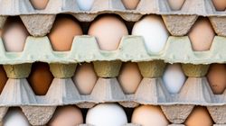 Kupiłeś takie jajka? GIS ostrzega, nie wolno ich jeść