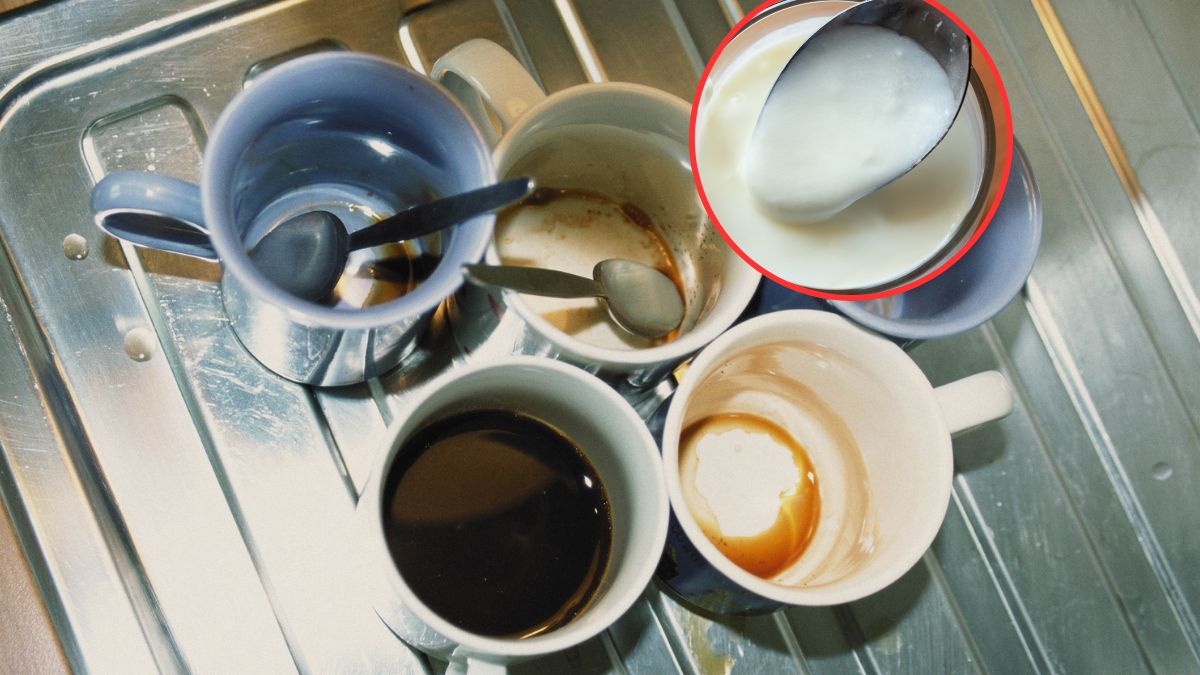 Kawa z mlekiem jednak korzystna dla zdrowia?