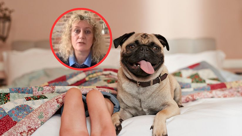 Lekarka ostrzega: nigdy nie śpij z psem w łóżku. Wskazuje ważny powód