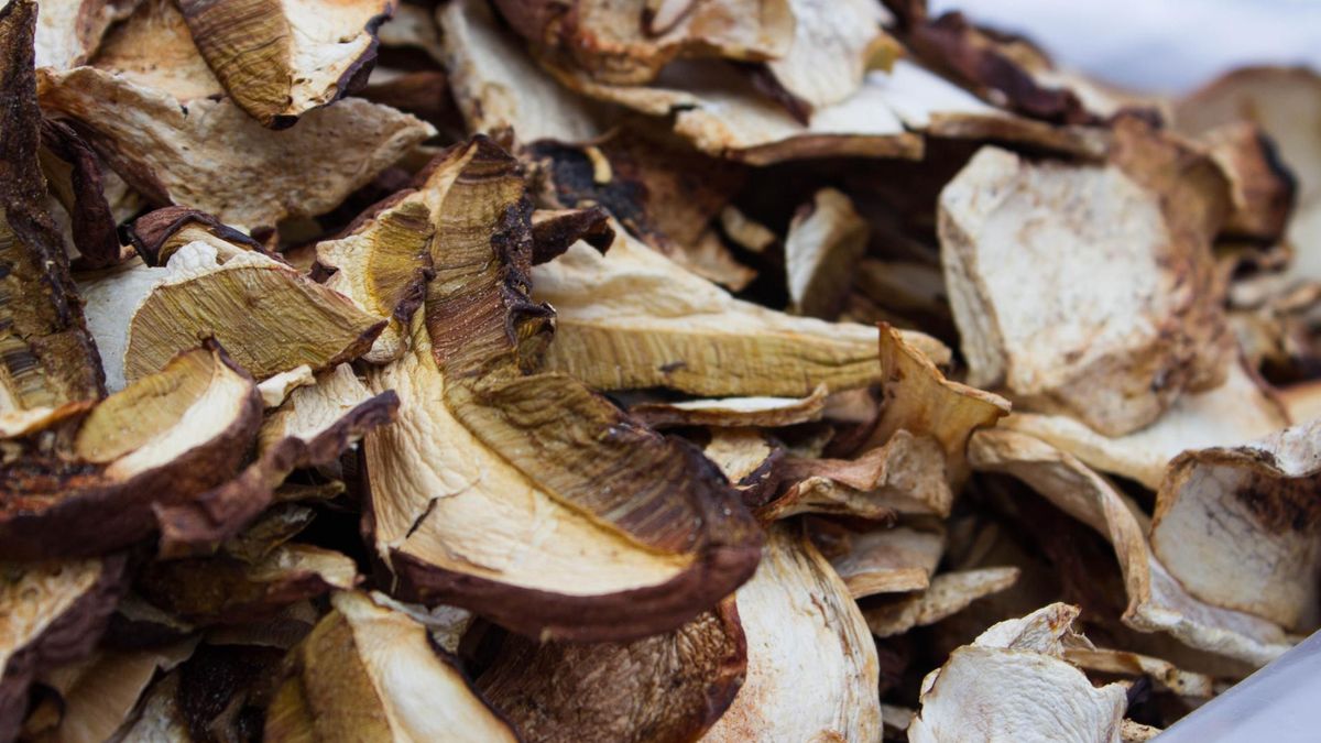 Jeden błąd sprawia, że suszone grzyby zamieniają się w rakotwórczą truciznę