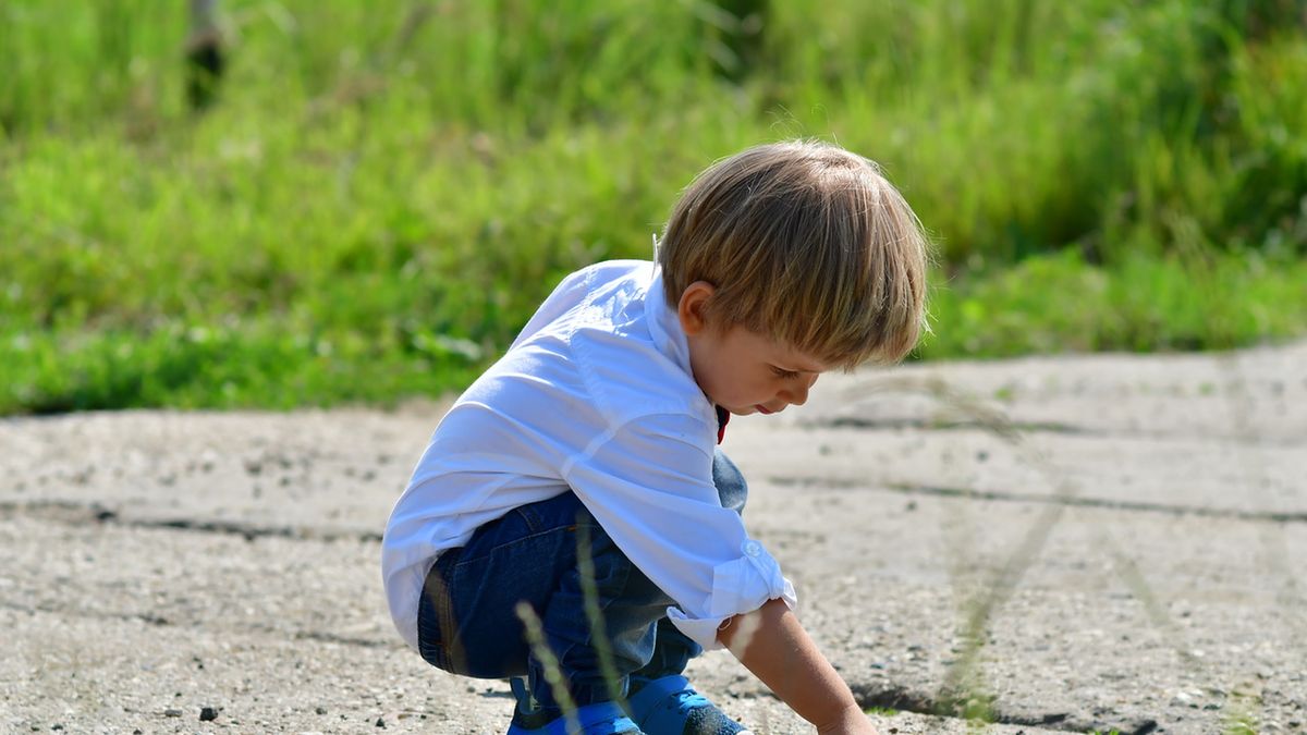 Owsica jest chorobą pasożytniczą, wywoływaną przez owsiki, których jaja są składane na zewnątrz odbytu i wokół krocza.