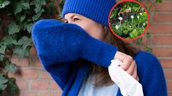 Moc witaminy C. Stosuj, gdy pojawia się kaszel, katal, ból gardła