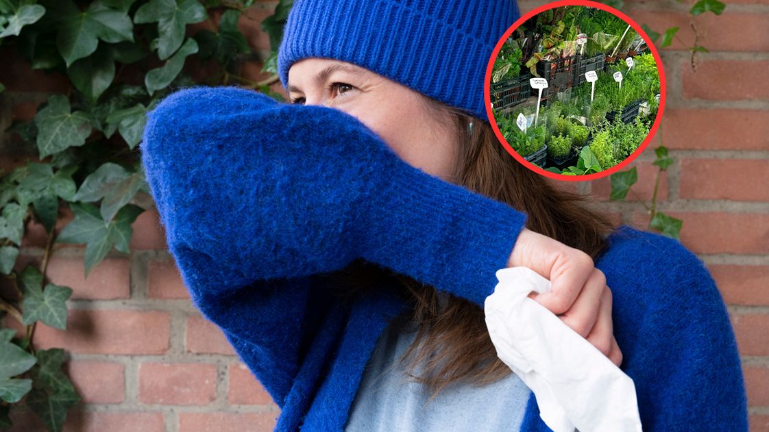 Zioła mogą być cennym elementem zimowej profilaktyki