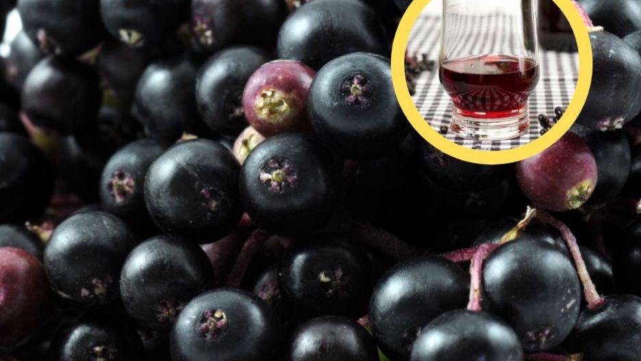 Wzmacnia odporność i obniża temperaturę. Naturalny środek do walki z przeziębieniem