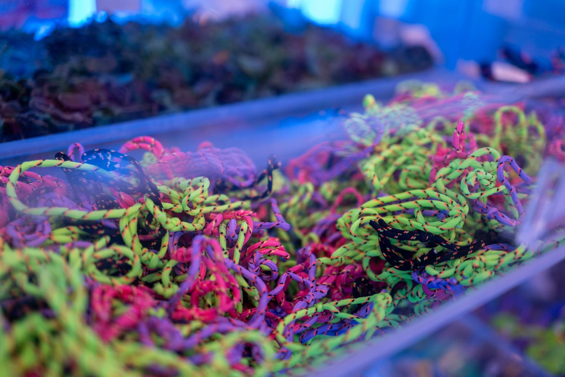 Zestaw do plecionek został wycofany