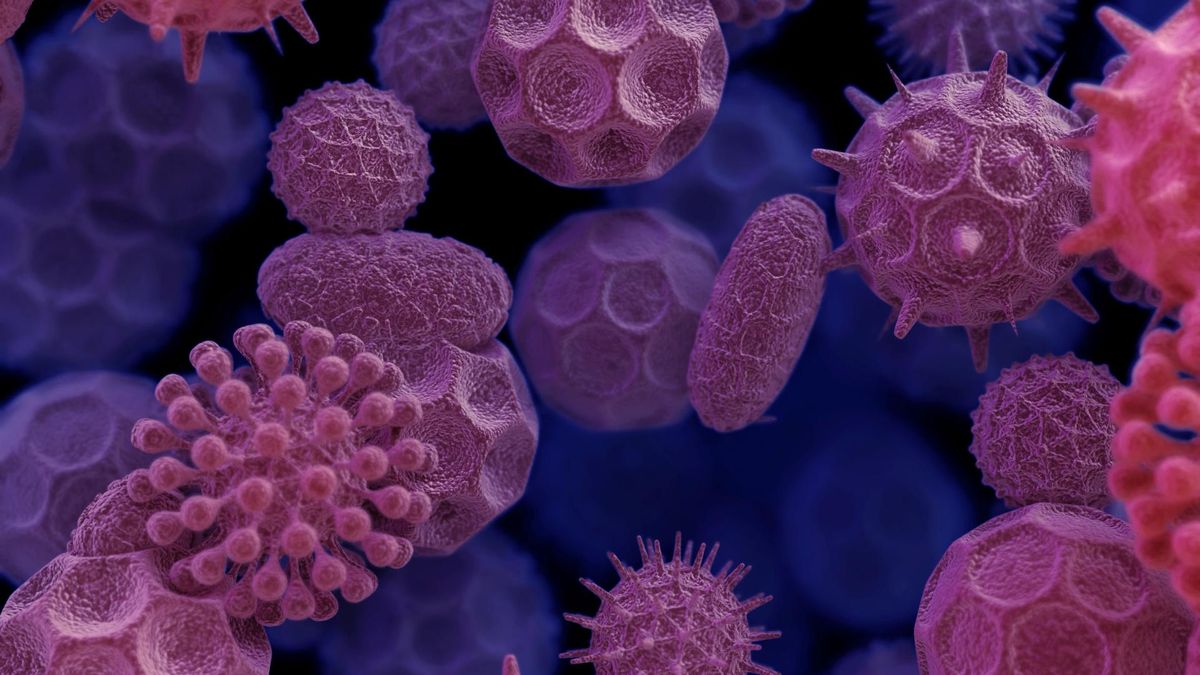 Cytomegalia u noworodka