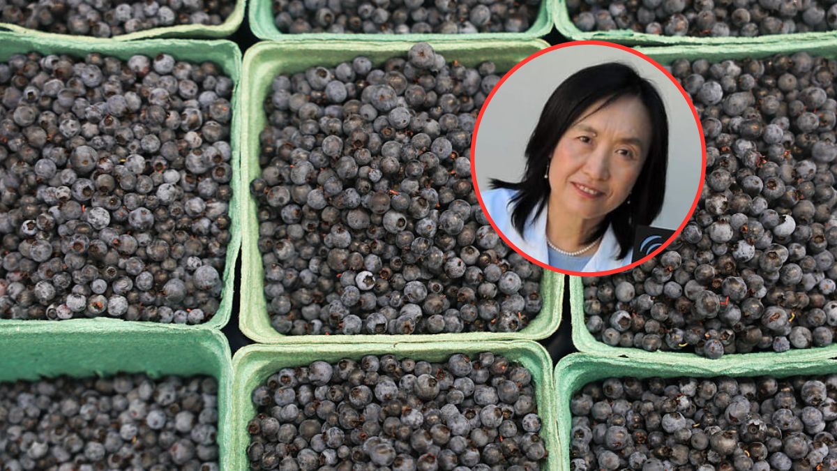 "Borówki to jedne z najlepiej przebadanych owoców pod kątem ochrony wątroby"