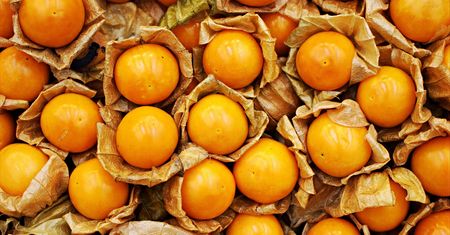 Złota jagoda. Pomaga na stawy, poprawia pamięć, uszczelnia naczynia krwionośne