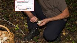 Groźna moda opanowała Polskę. Pod żadnym pozorem nie wolno tego robić