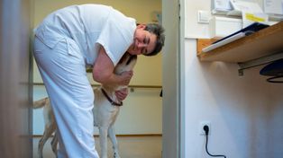 Wyjątkowy pomysł szpitala w Legnicy. "Święta to czas szczególny"